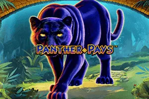 Playtech : Panther Pays - NOLIMITSLOT777