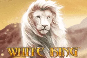 Playtech : White King - NOLIMITSLOT777