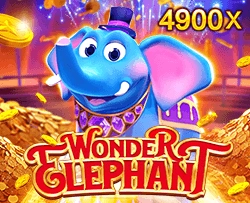 Wonder Elephant - NOLIMITSLOT777